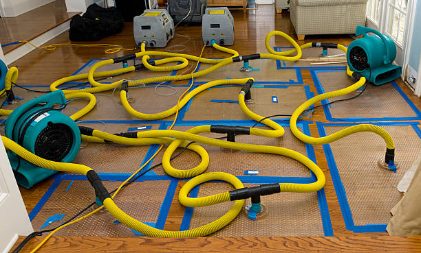 Professional Flood Damage Restoration technician working in Dundee, MI